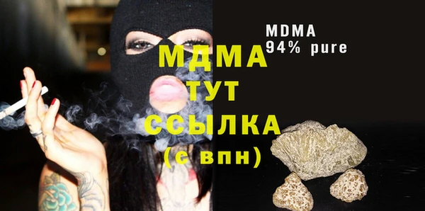 индика Бородино