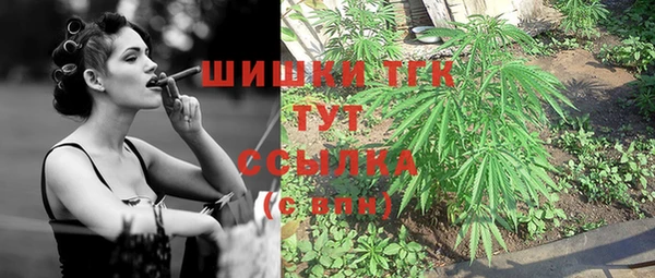 мдпв Слюдянка