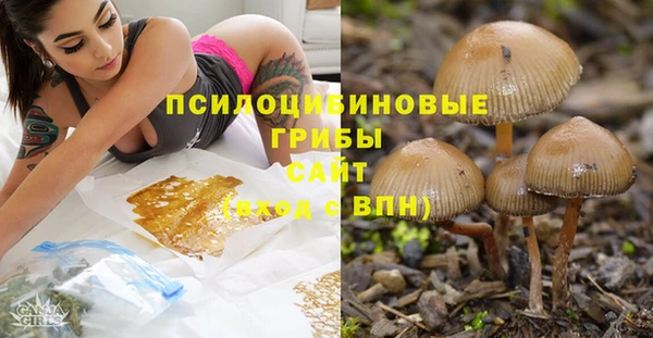 мдпв Слюдянка